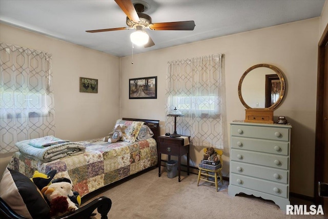 500 S Fly St, Goreville, IL 62939 - photo 21