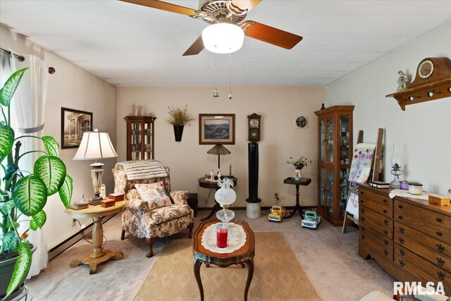 500 S Fly St, Goreville, IL 62939 - photo 8