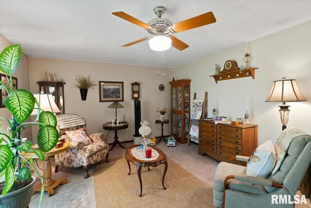 500 S Fly St, Goreville, IL 62939 - photo 9