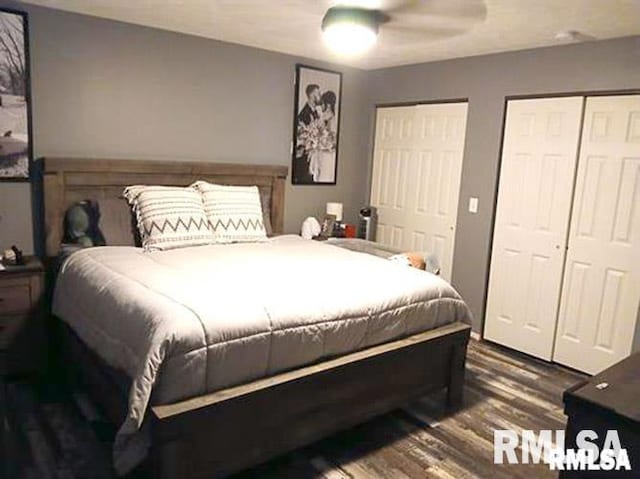 103 Chase Ln, Marion, IL 62959 - bedroom with dark wood-style flooring and ceiling fan