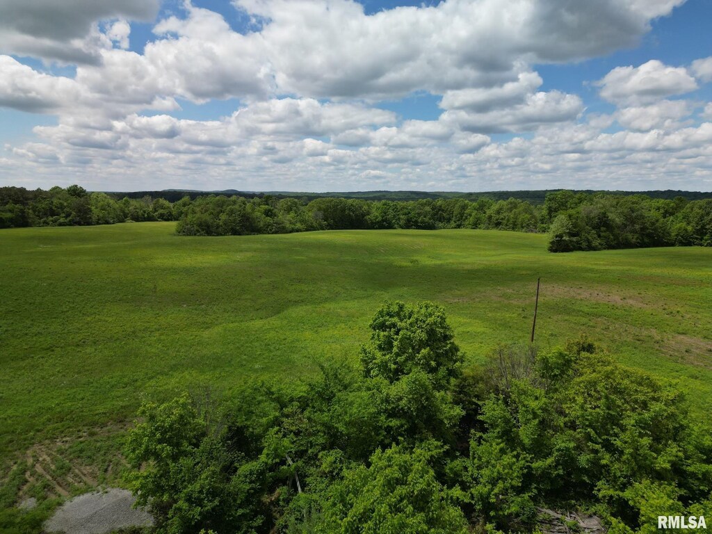 00 Bert Rd, Golconda, IL 62985