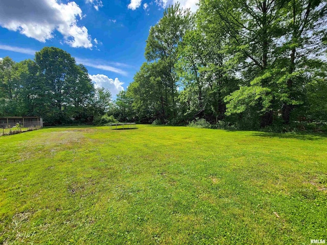 1011 Clan St, Flora, IL 62839 - view of green lawn