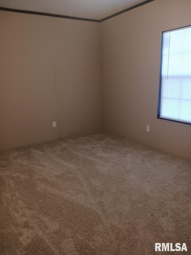 carpeted empty room with crown molding