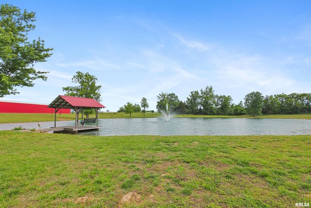 1717 Marion St, Carterville, IL 62918 - photo 31