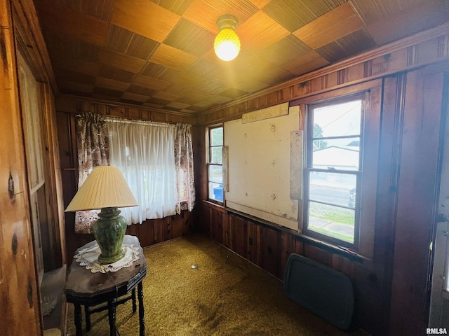 1508 Fisk St, Eldorado, IL 62930 - unfurnished room with wooden walls, carpet floors, and wooden ceiling