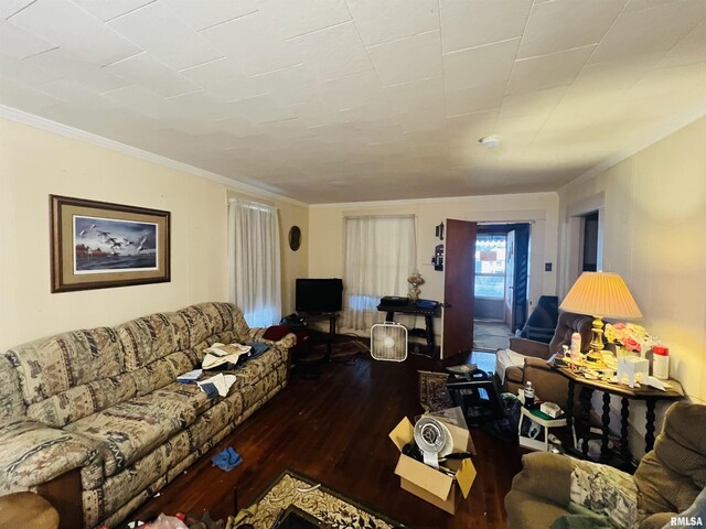 1508 Fisk St, Eldorado, IL 62930 - living room featuring wood-type flooring and crown molding