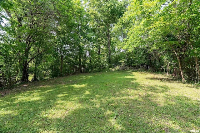 604 W Grand Ave, Carterville, IL 62918 - photo 20