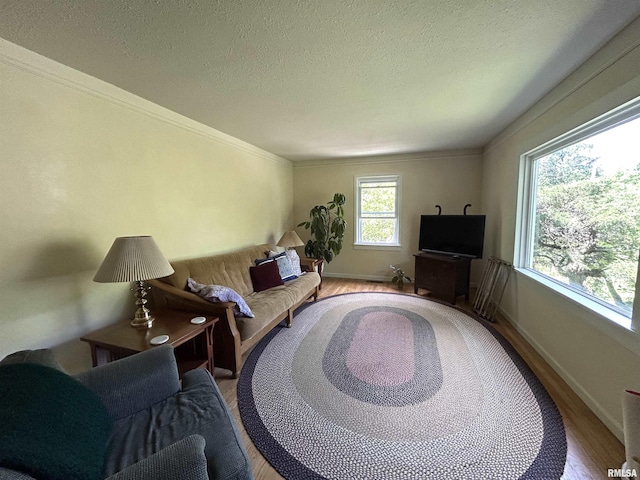 living area featuring wood finished floors, a textured ceiling, and baseboards