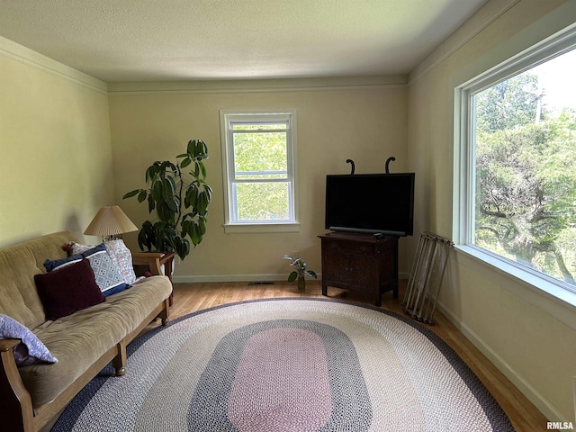 sitting room with wood finished floors and baseboards