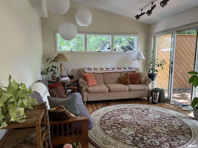 living area with vaulted ceiling, wood finished floors, and rail lighting