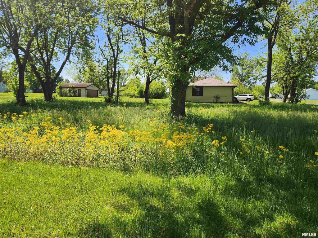 516 E Clay St, Ashley, IL 62808 - photo 1