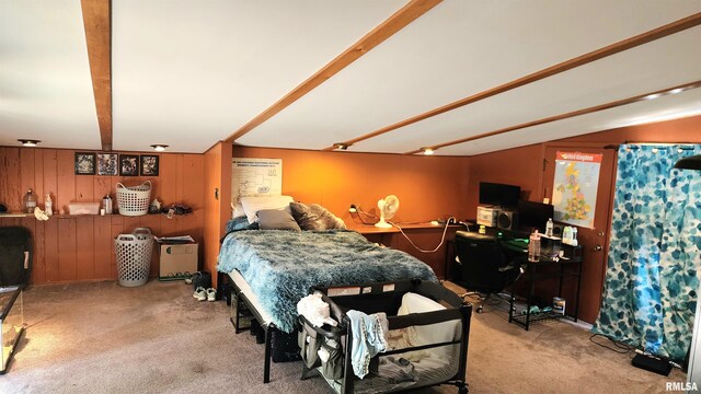 502 S Dixon St, Carbondale, IL 62901 - photo 19