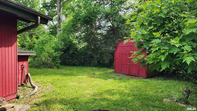 502 S Dixon St, Carbondale, IL 62901 - photo 20