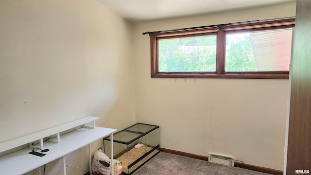 502 S Dixon St, Carbondale, IL 62901 - photo 9