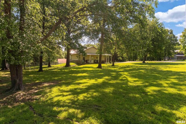 540 Kendall Ln, Marion, IL 62959 - view of yard