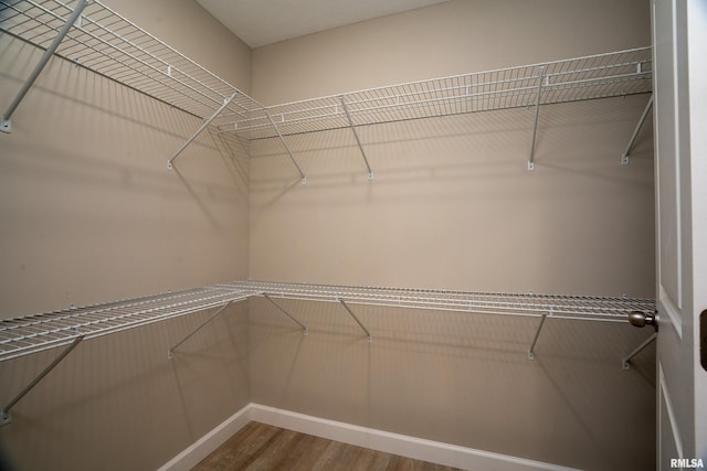 308 Prentice Ave, Carterville, IL 62918 - walk in closet with wood finished floors