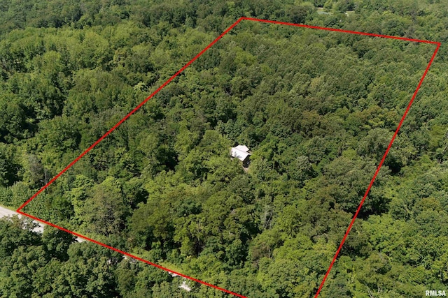 aerial overview of property's location with a forest and property parcel outlined