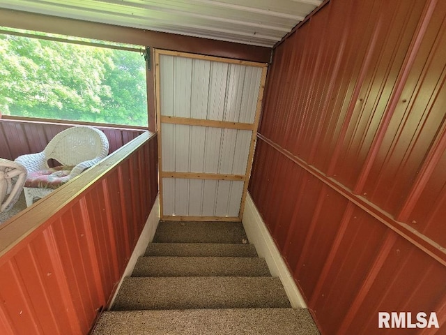 staircase with carpet floors