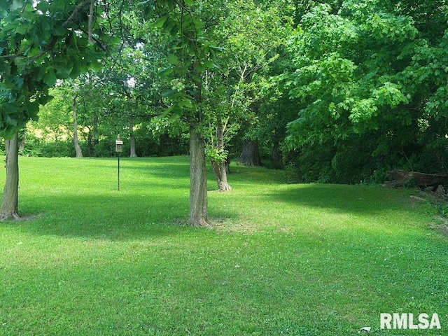 view of grassy yard