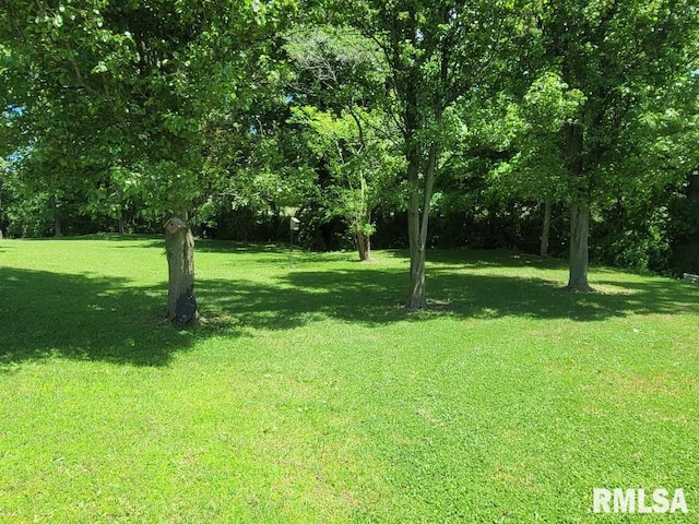 view of grassy yard