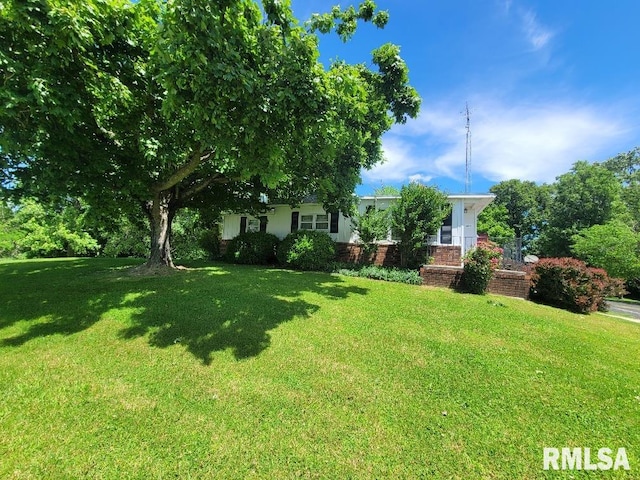 view of grassy yard