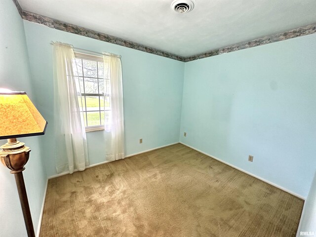 1 Estate Dr, Centralia, IL 62801 - photo 22