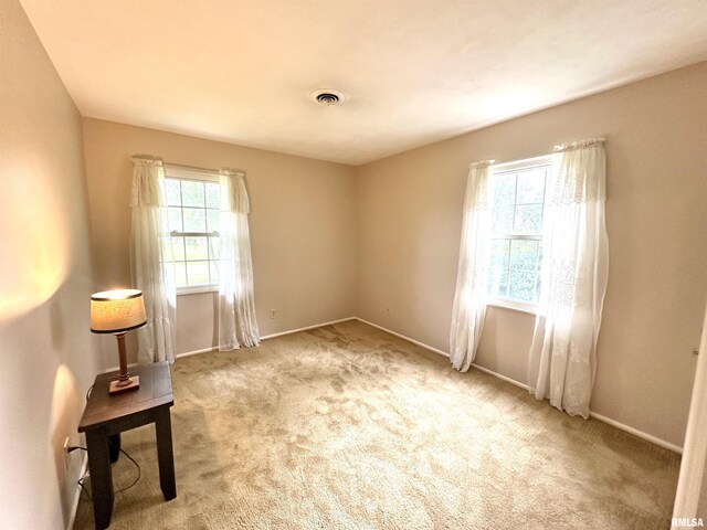 1 Estate Dr, Centralia, IL 62801 - photo 23