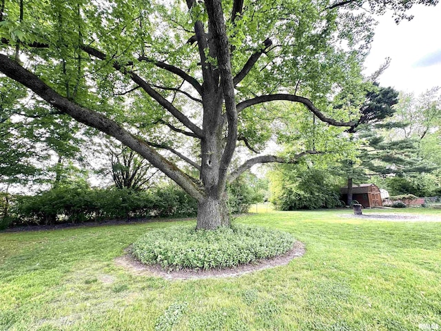 1 Estate Dr, Centralia, IL 62801 - photo 28