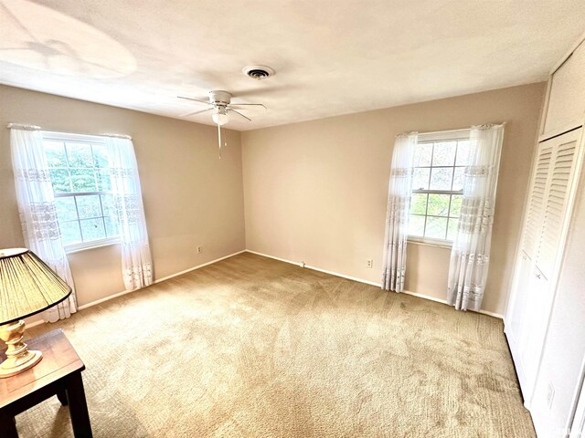 1 Estate Dr, Centralia, IL 62801 - photo 31