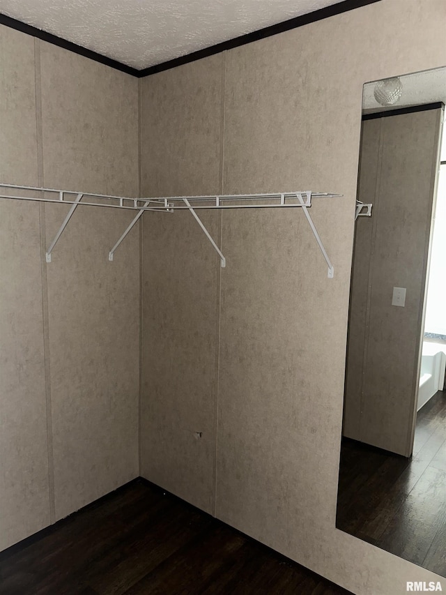 spacious closet featuring dark wood-type flooring