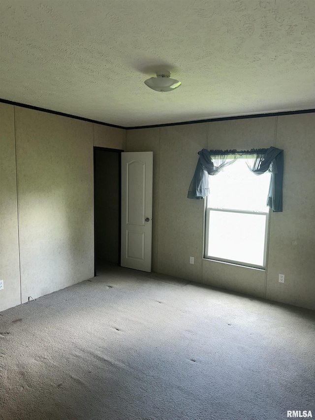 spare room with carpet flooring and a textured ceiling