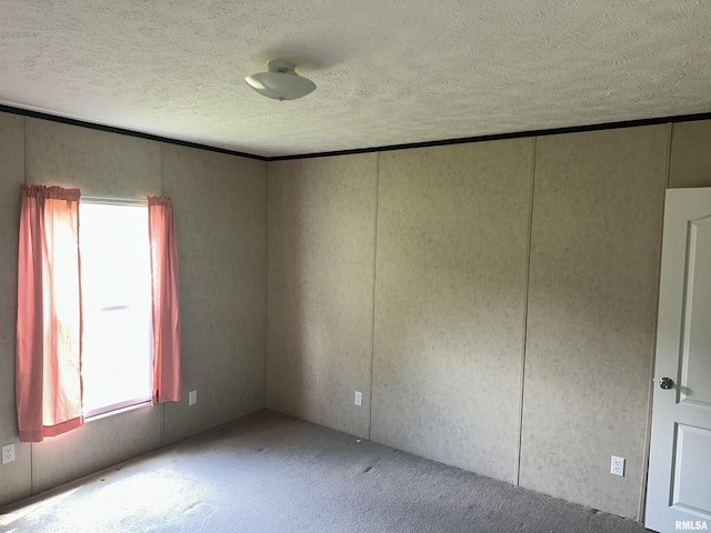 spare room with a textured ceiling, a decorative wall, and carpet floors