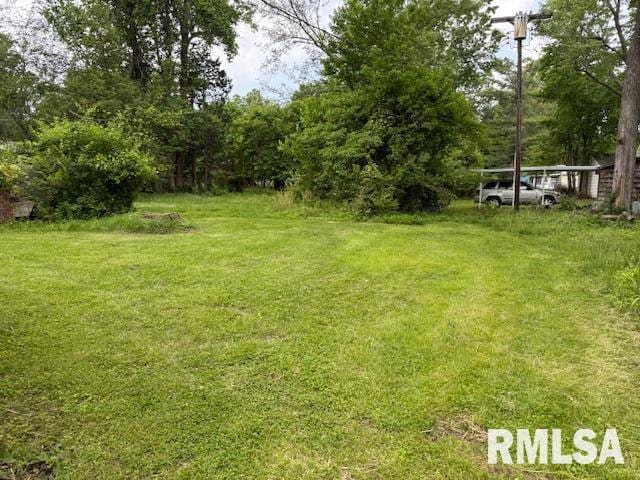 802 S Twisdale St, Carbondale, IL 62901 - photo 14