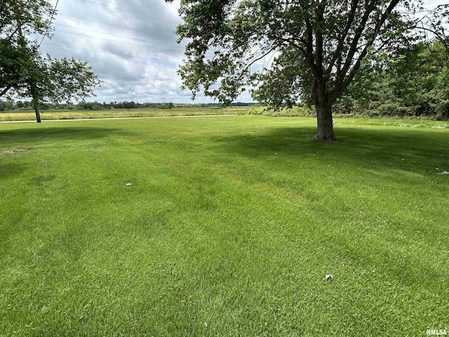 view of green lawn