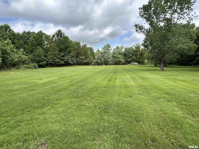 view of green lawn