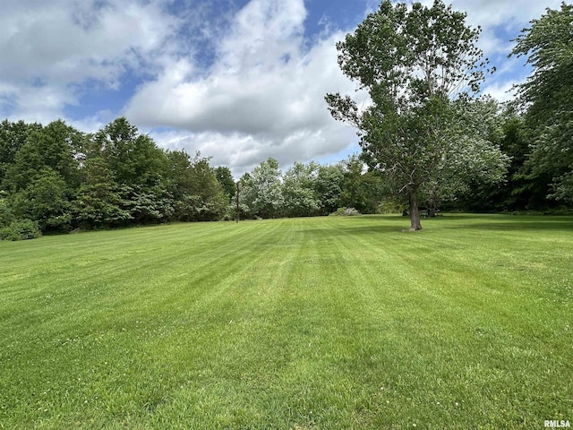 view of grassy yard