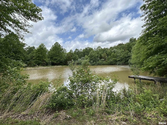 water view featuring a heavily wooded area