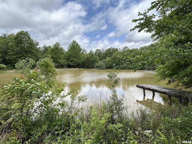 water view with a heavily wooded area