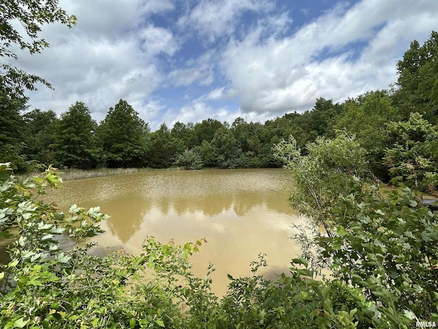 water view featuring a heavily wooded area