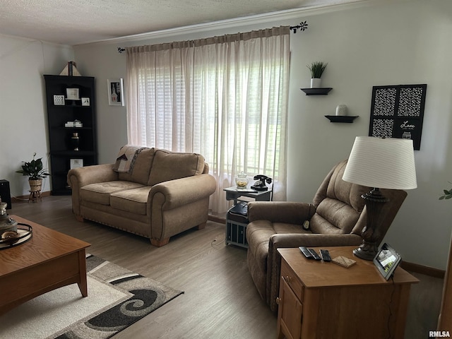 living room featuring light wood-style flooring, ornamental molding, and a textured ceiling