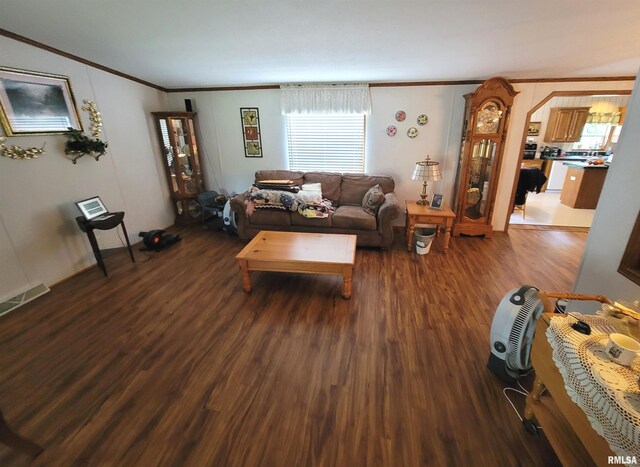 3614 S Hotze Rd, Salem, IL 62881 - living area featuring ornamental molding and dark wood finished floors