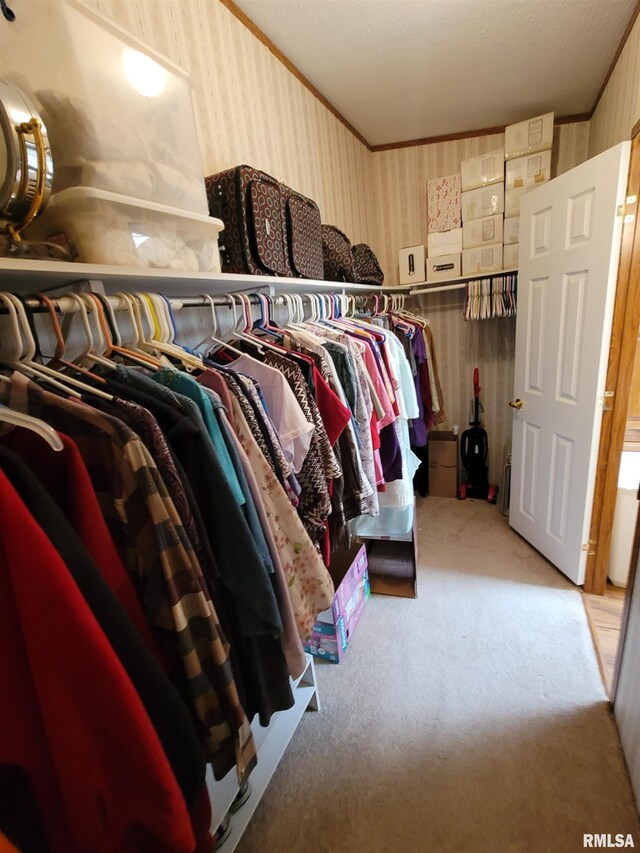 3614 S Hotze Rd, Salem, IL 62881 - spacious closet with carpet floors