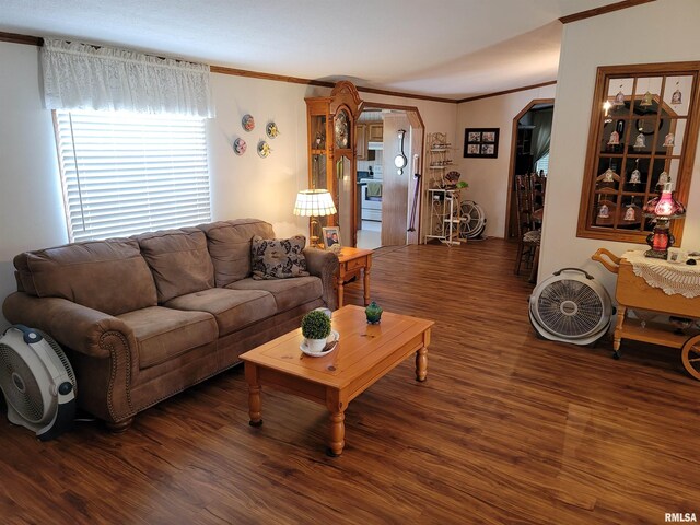 3614 S Hotze Rd, Salem, IL 62881 - living area featuring ornamental molding, wood finished floors, and arched walkways