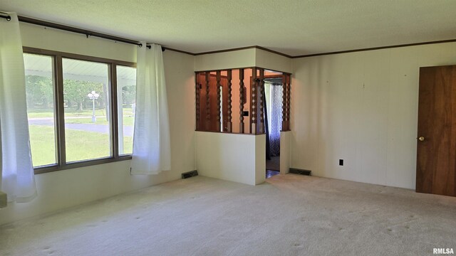2110 Raleigh Rd, Eldorado, IL 62930 - photo 11