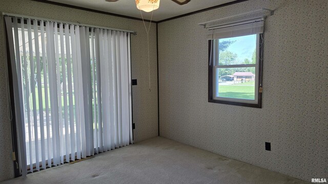2110 Raleigh Rd, Eldorado, IL 62930 - photo 21