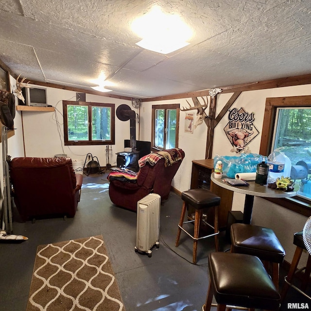 000 Flint Rd, Louisville, IL 62858