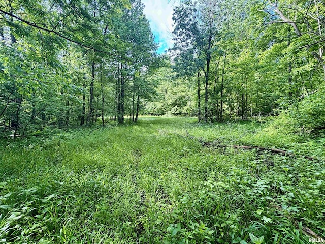000 Flint Rd, Louisville, IL 62858