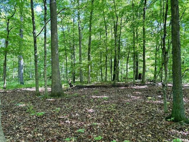 000 Flint Rd, Louisville, IL 62858