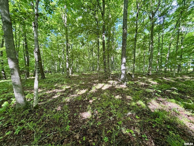 000 Flint Rd, Louisville, IL 62858