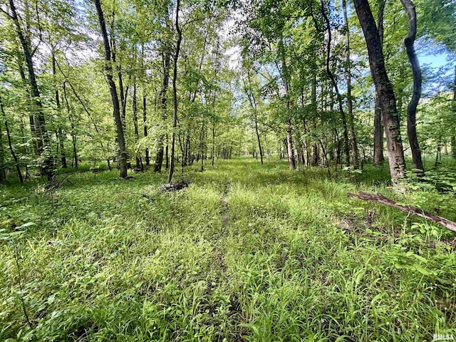 000 Flint Rd, Louisville, IL 62858
